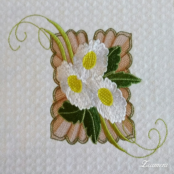 Springtime Daisies 8 x 8